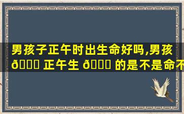 男孩子正午时出生命好吗,男孩 🐘 正午生 🐋 的是不是命不好